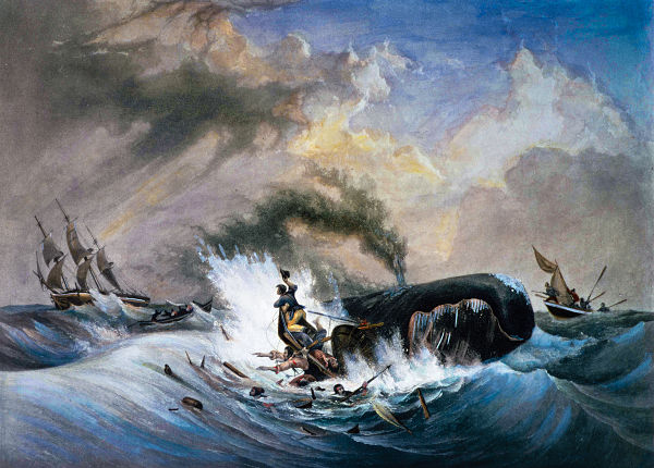 Verdadera Historia de Moby Dick