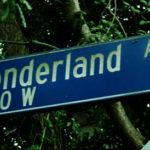 wonderland-9