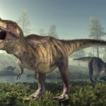 Tyrannosaurus rex-1