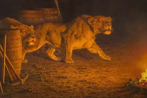 leones de Tsavo