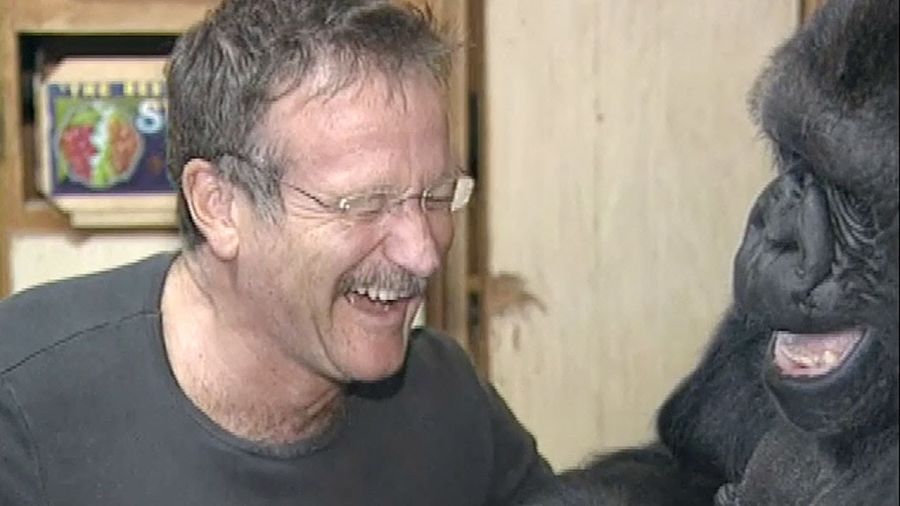 Robin Williams y Koko el Gorila