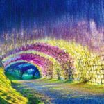 túnel de Wisteria