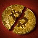 curiosidades del bitcoin