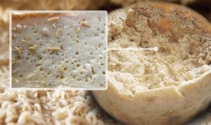 Casu Marzu – el Peligroso Queso con Gusanos
